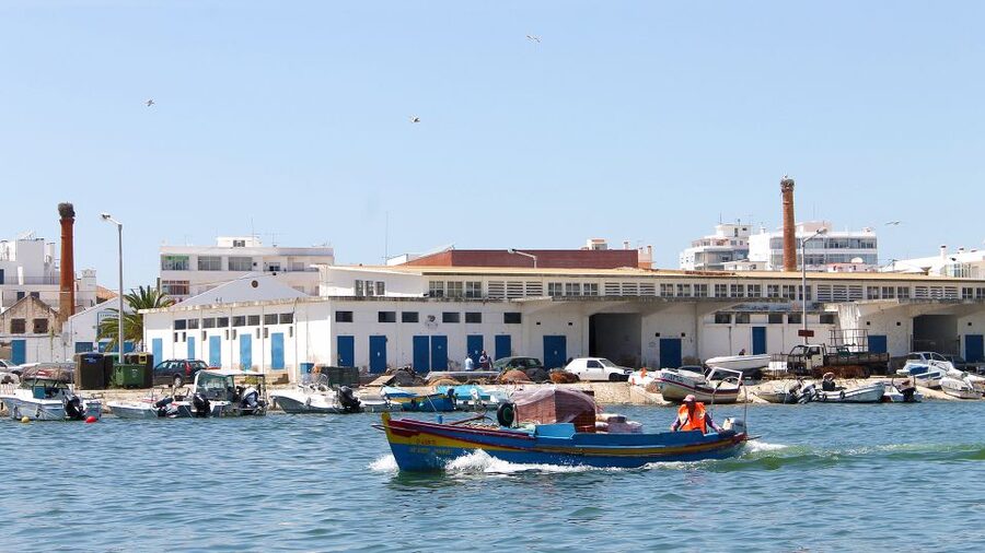 Ria Formosa: 2-Hour Fishermen Route Boat Tour - Guided Commentary in Spanish, English, or Portuguese