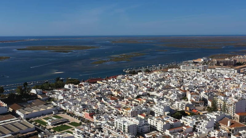 Ria Formosa: Armona and Culatra Islands 3-Hour Boat Tour - Key highlights worth booking