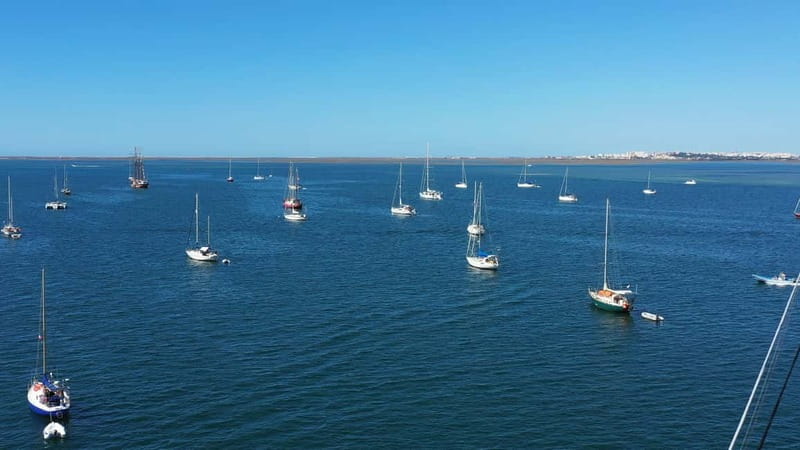 Ria Formosa: Armona and Culatra Islands 3-Hour Boat Tour - Why Ria Formosa feels different from other Algarve day trips