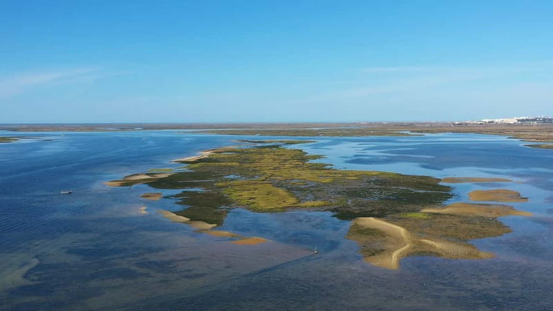 Ria Formosa: Armona and Culatra Islands 3-Hour Boat Tour - Cruising through marshes, barrier islands, and low-tide life