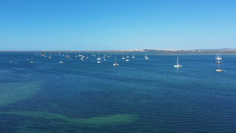 Ria Formosa: Armona and Culatra Islands 3-Hour Boat Tour - Culatra Island: car-free village time and sustainable island life