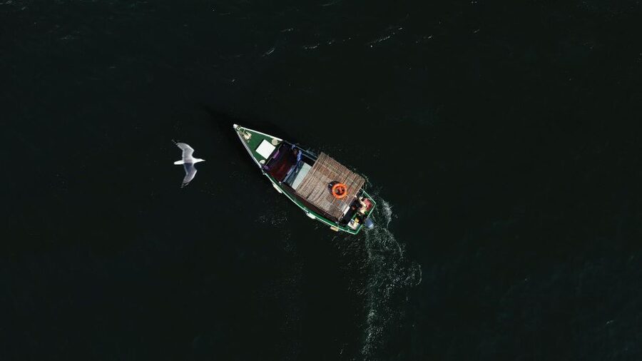 Ria Formosa: Armona and Culatra Islands 3-Hour Boat Tour - Armona Island and the Praia Deserta swim break