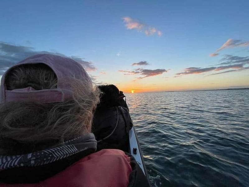 Ria Formosa: Armona and Culatra Islands 3-Hour Boat Tour - Onboard inclusions, and what you should plan to handle yourself