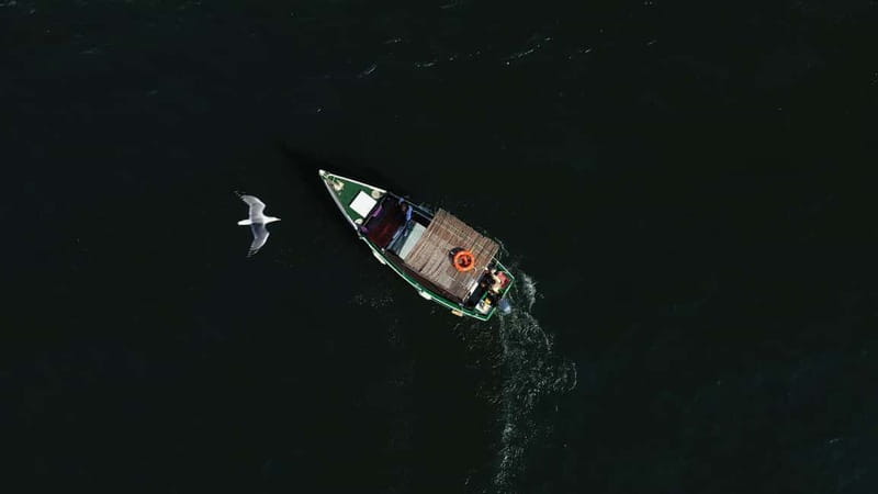 Ria Formosa: Armona and Culatra Islands 3-Hour Boat Tour - Who this boat tour suits best