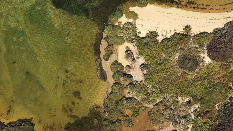 Ria Formosa: Armona and Culatra Islands 3-Hour Boat Tour - From Olhão to the islands: what the boat ride actually feels like