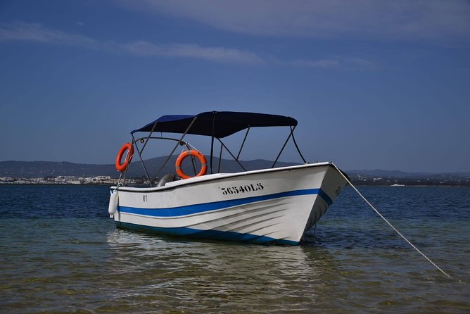Ria Formosa - Boat trip to the 3 Islands: Armona | Culatra Island | Lighthouse - Ria Formosa by boat: why this route feels special