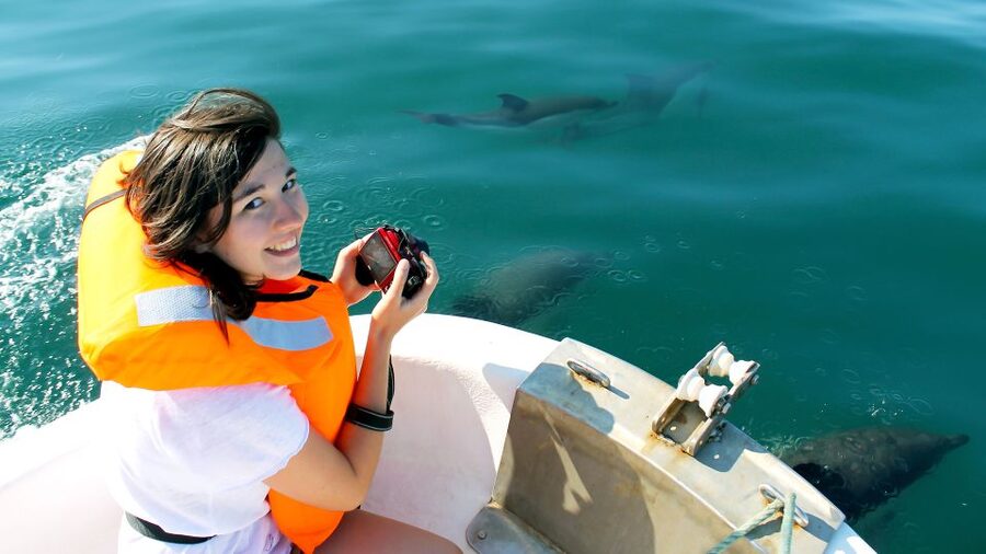 Ria Formosa: Dolphin-Watching Boat Tour - Key things to know before you go