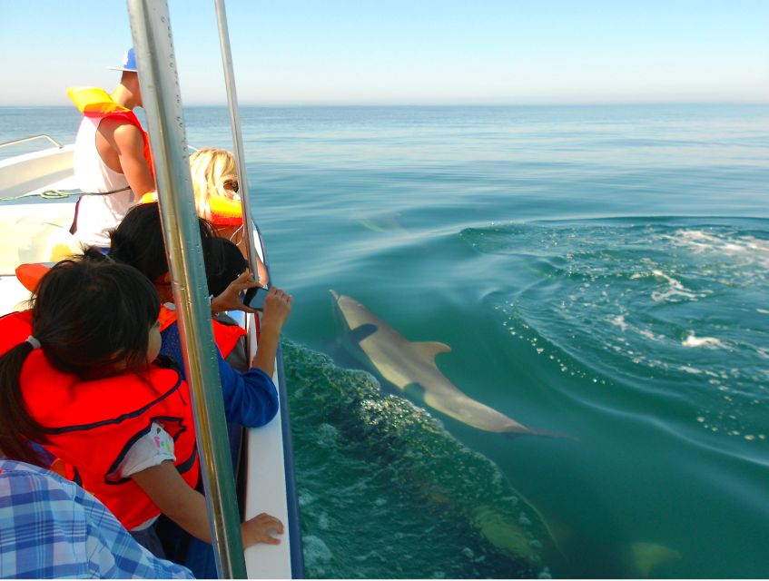Ria Formosa: Dolphin-Watching Boat Tour - Ria Formosa dolphin watching, and why this route matters