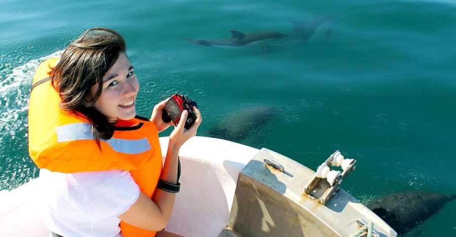 Ria Formosa: Dolphin-Watching Boat Tour - Other sightings: flying fish, ocean sunfish, and sea turtles