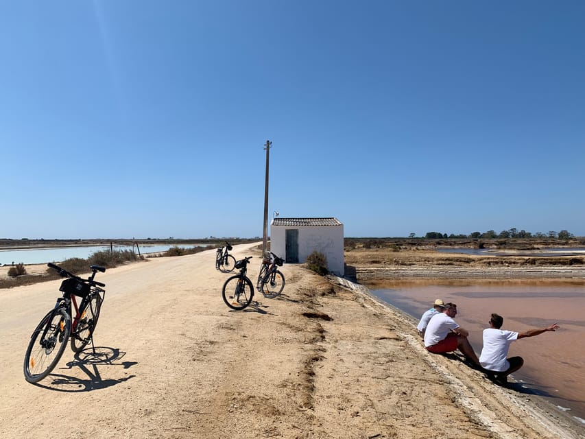 Ria Formosa: Guided Bike Tour (3h), Início na Quinta do Lago - Bird Watching Stops Where the Wetlands Do the Talking