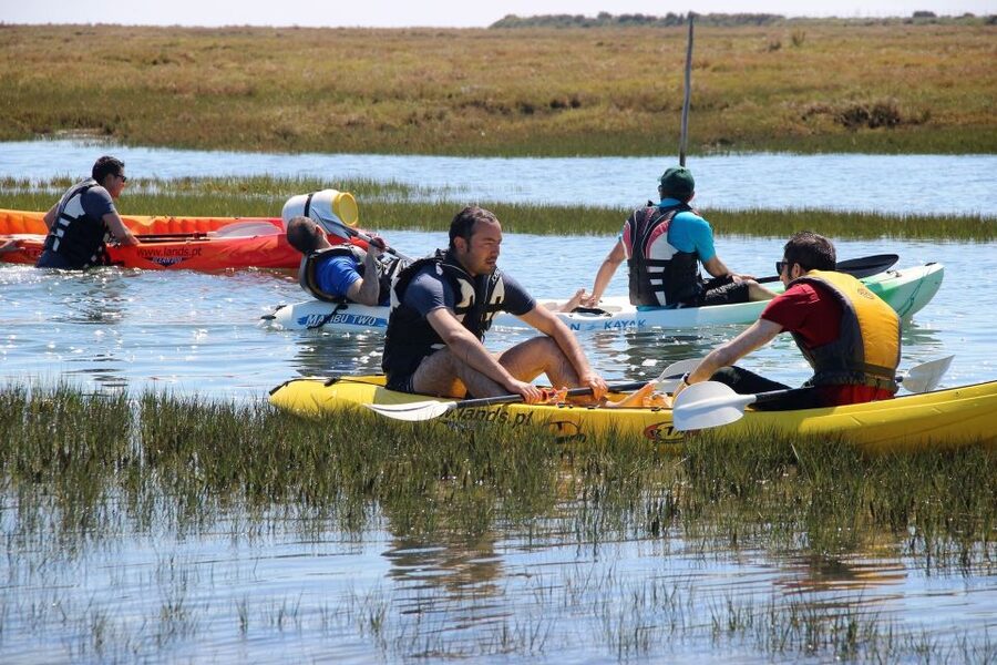 Ria Formosa National Park: Kayak Trip - Key highlights to know