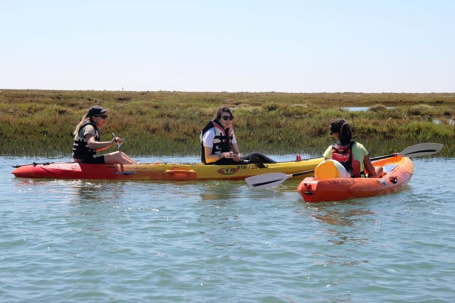 Ria Formosa National Park: Kayak Trip - Marshes and islets: where the wildlife spotting actually happens