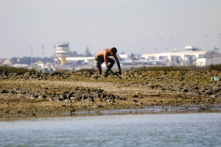 Ria Formosa National Park: Kayak Trip - Passing the clam farms and reaching a small islet: the moment the tour clicks