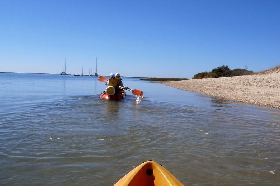 Ria Formosa National Park: Kayak Trip - Timing and pacing: a 2-hour trip that fits Faro without draining your day