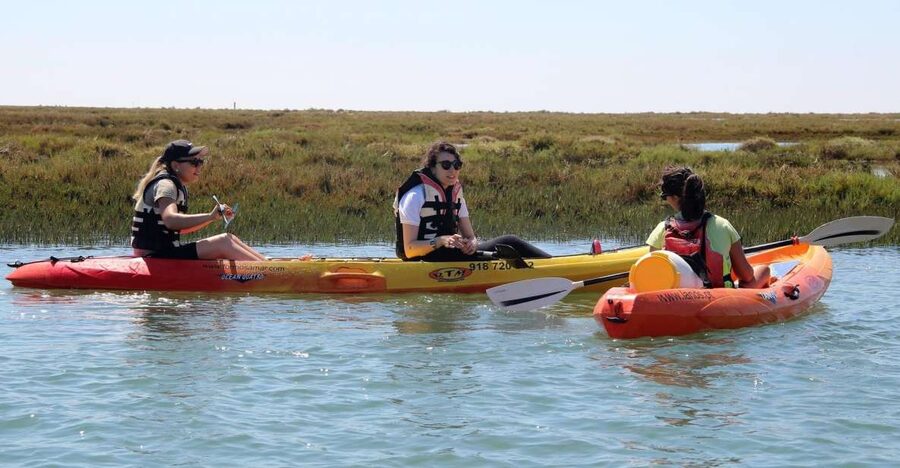 Ria Formosa National Park: Kayak Trip - Price and value: what $58 gets you in Faro waters