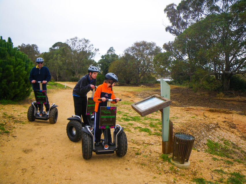 Ria Formosa National Park Segway Tour & Seafood Lunch - Ria Formosa on a Segway: why this is a smart way to see the park