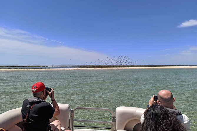 Ria Formosa Natural Park and Islands Boat Cruise from Faro - The boat ride setup in Faro Marina (and why it matters)