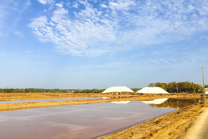 Ria Formosa Natural Park Birdwatching Segway Tour from Faro - The Ludo stop: your best chance for flamingos and purple swamphens