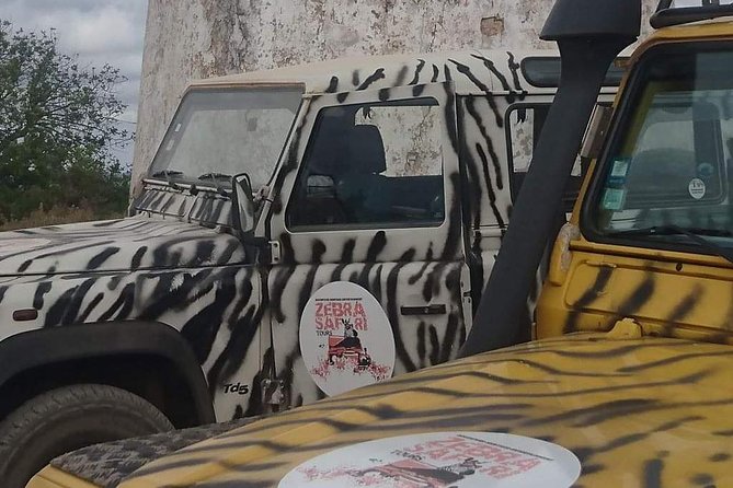 Safari & Boat Tour - Mountains & Dolphins - Entering the Day: How the 4x4 Safari Sets Up the Algarve