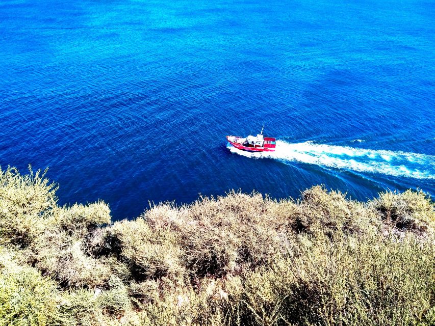 Sagres & Cape St. Vincent Half-Day Tour from Lagos - Who Should Book This Sagres and Cape St. Vincent Tour