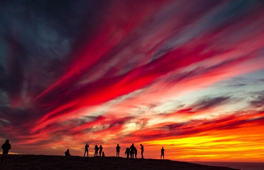 Sagres: Sunset Tour - Port Wine and Pastel de Nata: A Cozy Finish That Fits the Setting