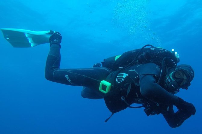 Scuba Diving Albufeira-Double Dive Trip - Key highlights worth planning for