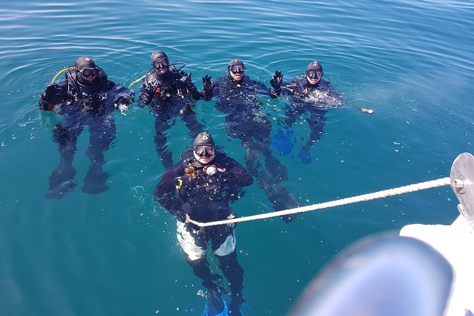 Scuba Diving Albufeira-Double Dive Trip - Start at Easydivers, check your paperwork, and bring the right credentials