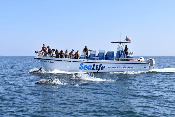 Sealife Sea Safari, Dolphin Watching with Marine Biologist's Lagos - Key things to know before you go