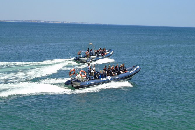 Sealife Sea Safari, Dolphin Watching with Marine Biologist's Lagos - Price in context: does $48.39 feel like good value?