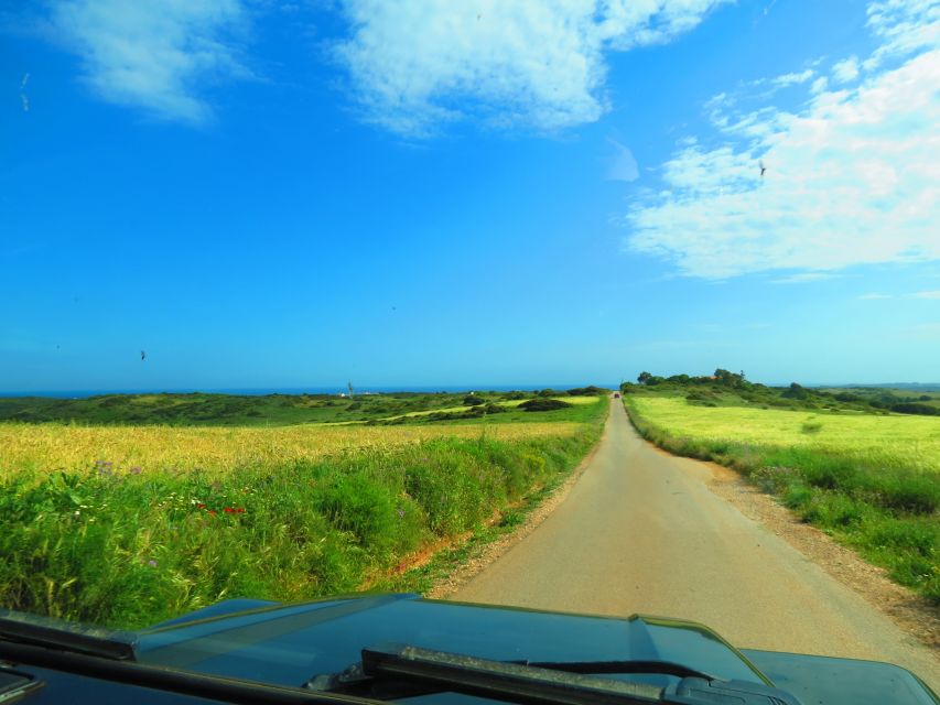 Serra de Monchique & Bravura Half Day Off-Road Day Trip - Who this tour suits best, and who should skip it