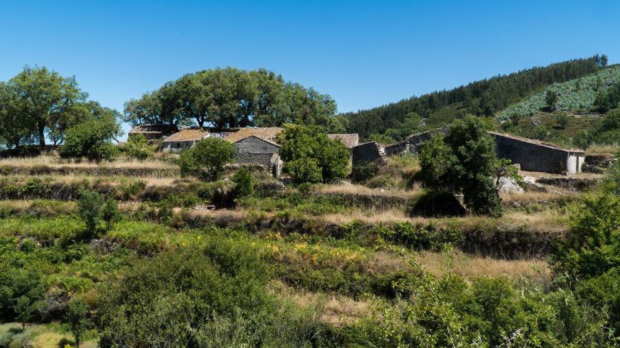 Serra de Monchique & Bravura Half Day Off-Road Day Trip - Off-road driving on the Portuguese Natural Park, with a guide who explains real life