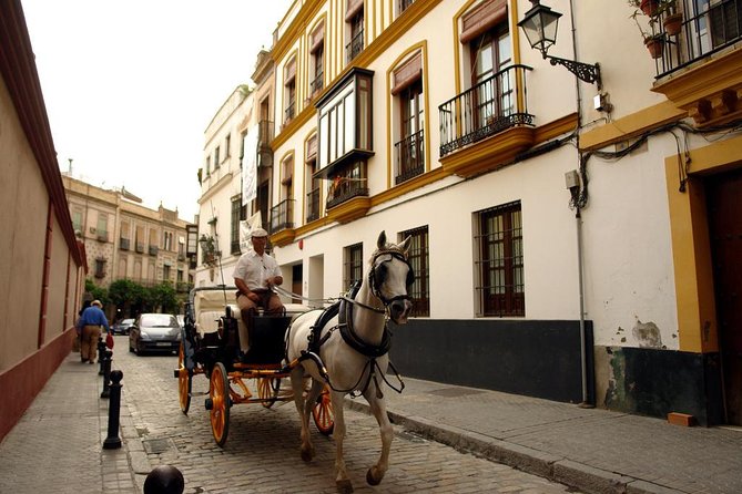 Seville Day Trip from the Algarve - Guides, group feel, and what to expect from the human side