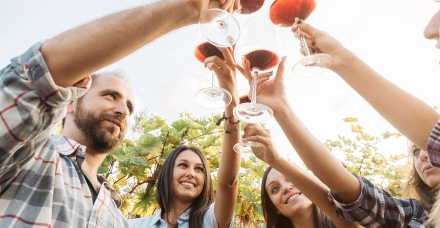 Silves: Algarvian Winery Tour and Tasting Experience - Wine and Olive Oil Basics: The Tour’s Main Lesson in Plain Language