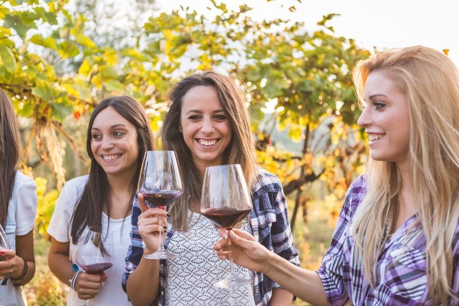 Silves: Algarvian Winery Tour and Tasting Experience - The Tasting Lineup: Sentidos Tato Red, Four Wines, and Three Oils