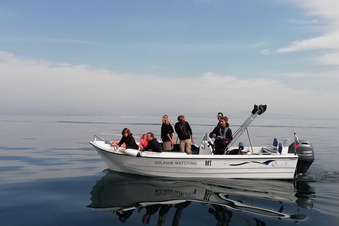 Small Group Dolphin and Wildlife Watching Tour in Faro - Key Highlights at a Glance