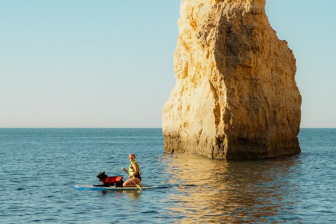 Small Group Paddleboard Experience in Benagil Cave with 4K Photos - Gear, comfort, and how hard the paddle really is