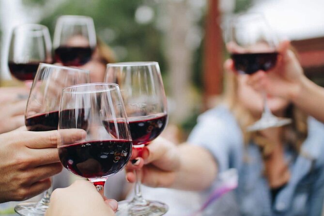 Small group Wine Tasting Tour from Lagos - Small-Group Pace: Why the Van Ride Helps the Whole Day