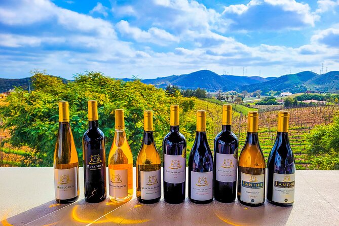 Small group Wine Tasting Tour from Lagos - Hotel Pickup in Lagos: The Part That Saves You Time
