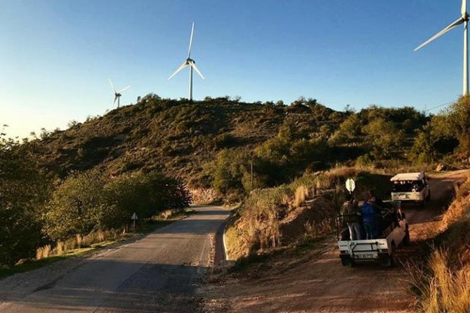 Sunset Jeep Safari with Dinner in Algarve - The farm tastings in Paderne: honey, carob liquor, and Medronho