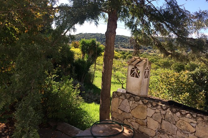 Sunset Safari - Sunset Safari in Algarve: what a 4-hour evening is really like