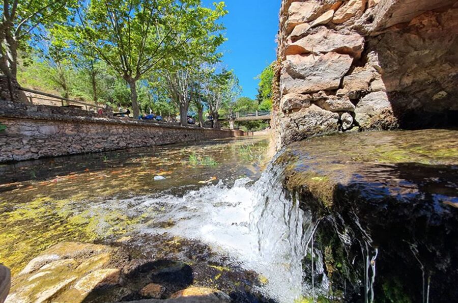 Sunset Safari in the Algarve Mountains - Quinta Do Goji: spirits, tea, and the farm stop that makes the safari worth it