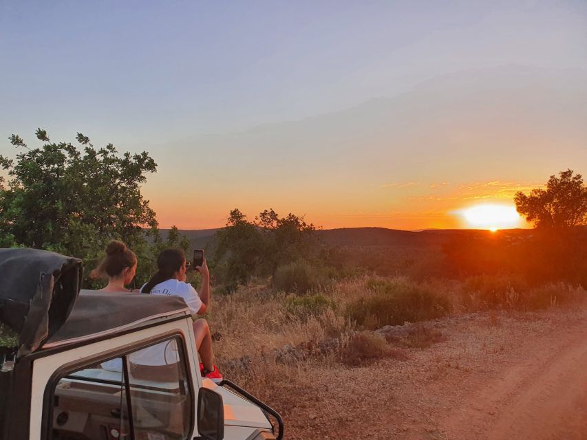 Sunset Safari in the Algarve Mountains - Fruit plantations, honey, and medronho: the food stops that teach you something