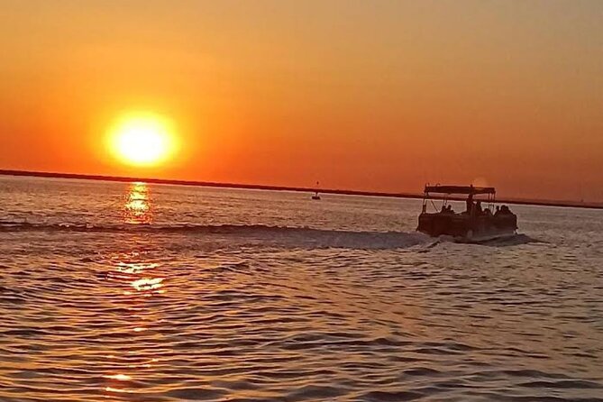 Sunset Tour | Ria Formosa - From Faro - Key highlights to look for