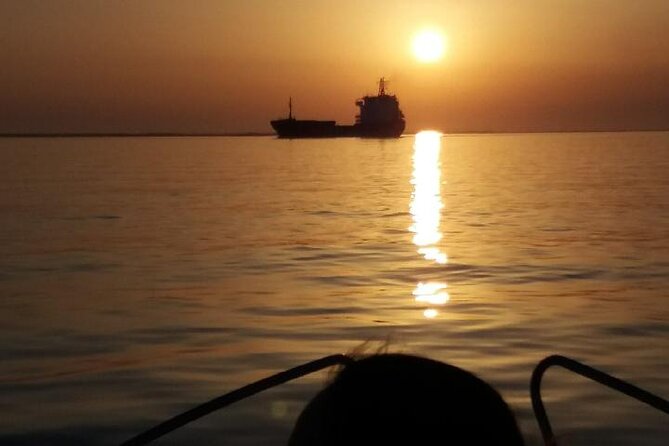 Sunset Tour | Ria Formosa - From Faro - Wildlife and marsh views: what you might spot on the water
