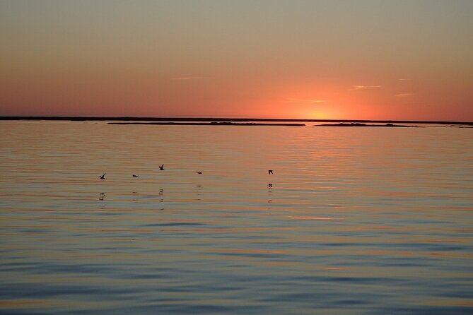 Sunset Tour | Ria Formosa - From Faro - The one-hour itinerary: what happens after you board