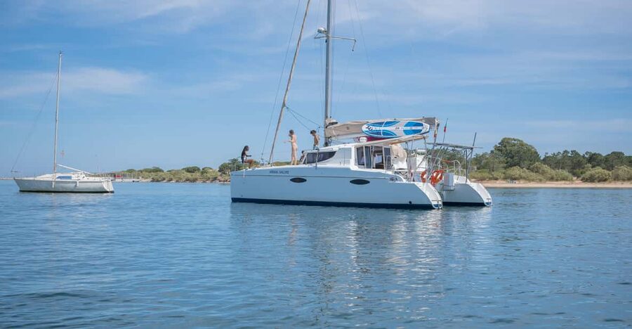 Tavira: Passeio Half Day - Snorkeling stops near Terra Estreita and artificial reefs