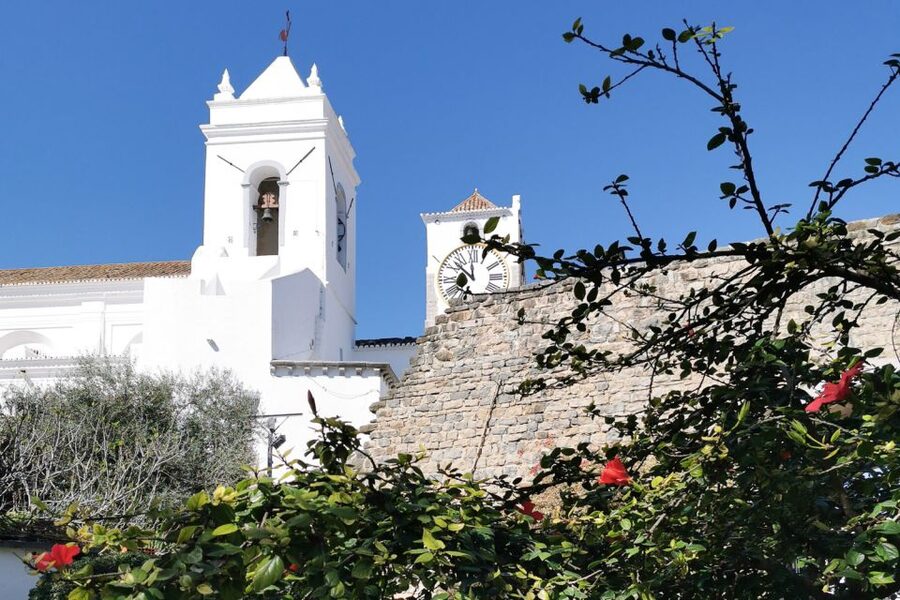 Tavira Total Tuk Tuk Tour: Tavira Tour & Tuna Museum Visit - Language Options: A Small Detail That Changes Everything