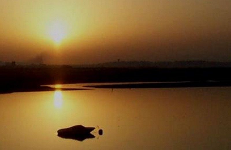 The Colors of Ria Formosa: Sunset Boat Trip in Faro - The 1.5-Hour Cruise Plan, From Safety Briefing to Parque Natural Views