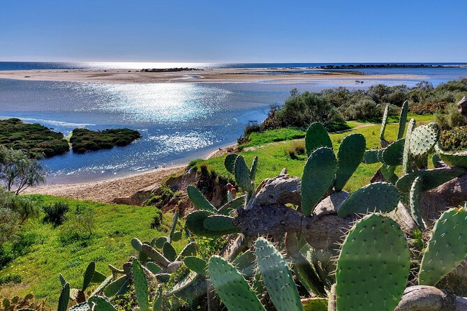 The Essential Algarve Relocation Tour! - What the Guide Means When They Say It’s About You