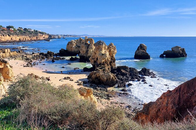 The Essential Algarve Relocation Tour! - Housing Choices: Modern Apartments vs. Traditional Villas